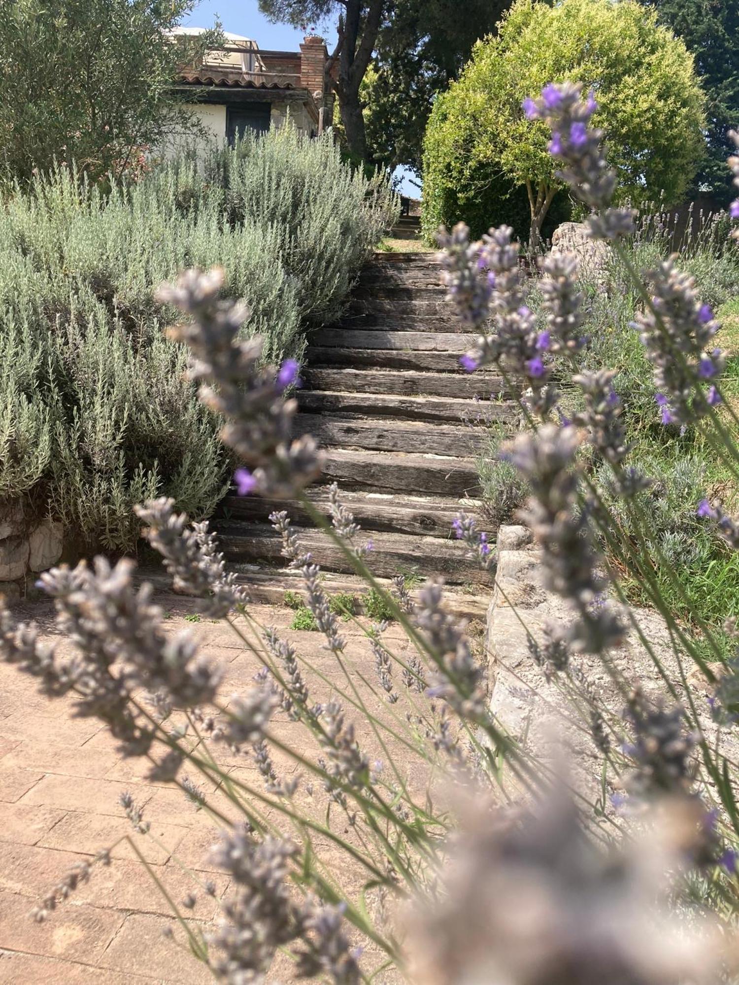 Country House La Collina Di Bargiano - Casa Raffaella Allerona Екстер'єр фото